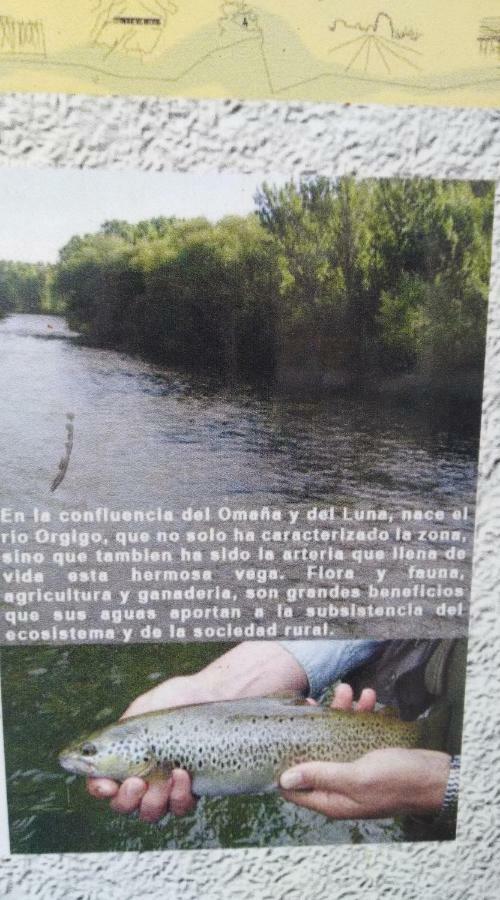 El Rinconcito De Llamas Llamas de la Ribera ภายนอก รูปภาพ
